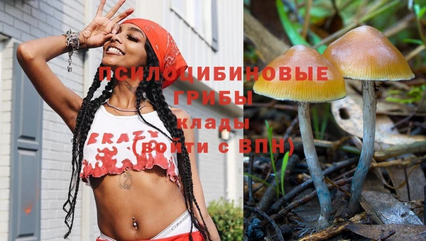 альфа пвп Заволжск