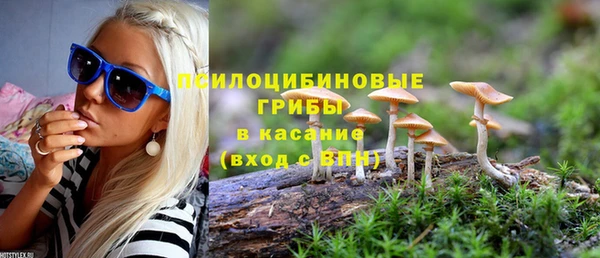 круглые Заводоуковск