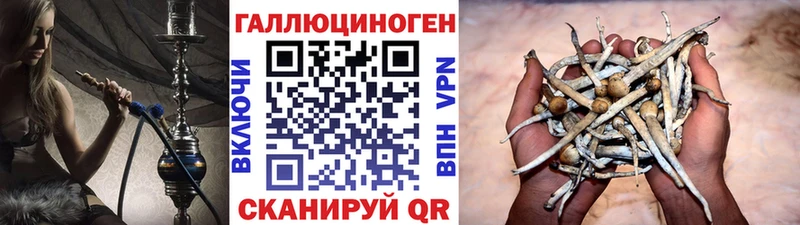 Псилоцибиновые грибы мицелий  Купить где  Елабуга 